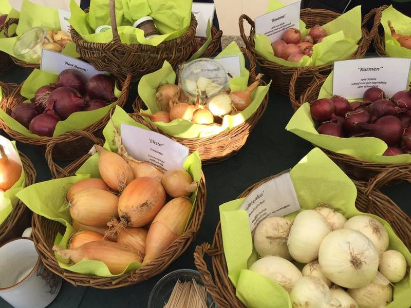 Was f�r ein TAG DER REGIONEN! Super Wetter, tolle Produkte aus dem N�rnberger Land - hier verschiedene Zwiebelsorten. 
