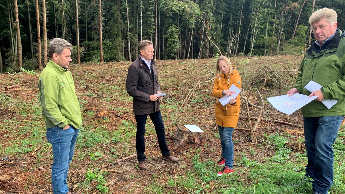 FBG Geschftsfhrer Michael Mller, MdL Norbert Dnkel, Anja Krner und FBG Vorsitzender Richard Sperber beim Waldbegang