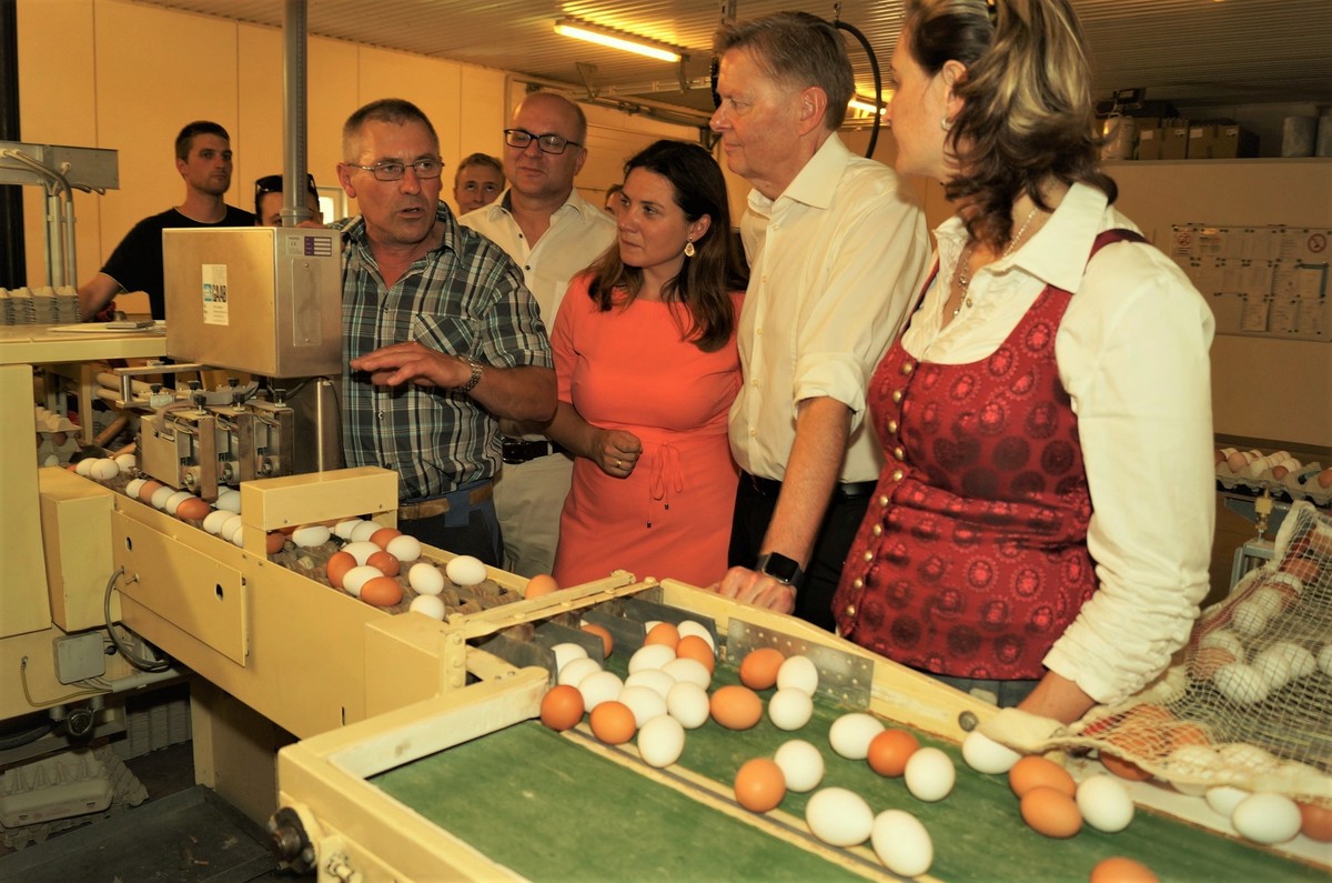 Interessiert verfolgen Kreisbuerin Marion Fischer, MdL Norbert Dnkel, Stellvertretende Landrtin Cornelia Trinkl und Bezirksrat Dr. Bernd Eckstein (v. re.) die Ausfhrungen von Thomas Pabst an der Eier-Sortier- und -Stempelanlage Foto: M. Keilholz 